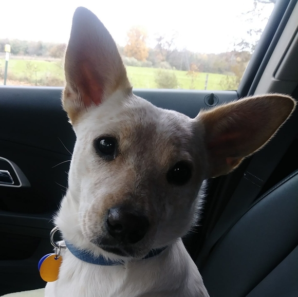 shiloh0526